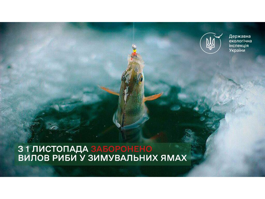 Осінньо-зимова заборона на вилов водних біоресурсів у зимувальних ямах