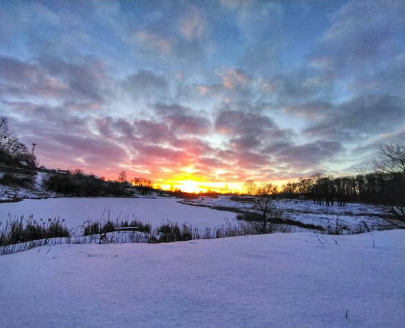 Прогноз погоди на день 21 листопада по Житомирській області