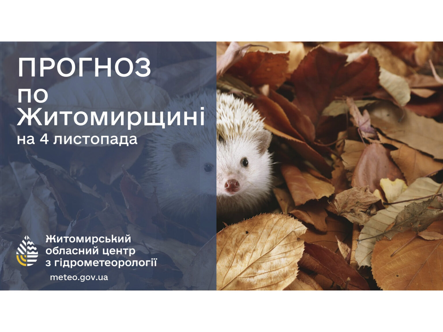 Прогноз погоди на добу 4 листопада