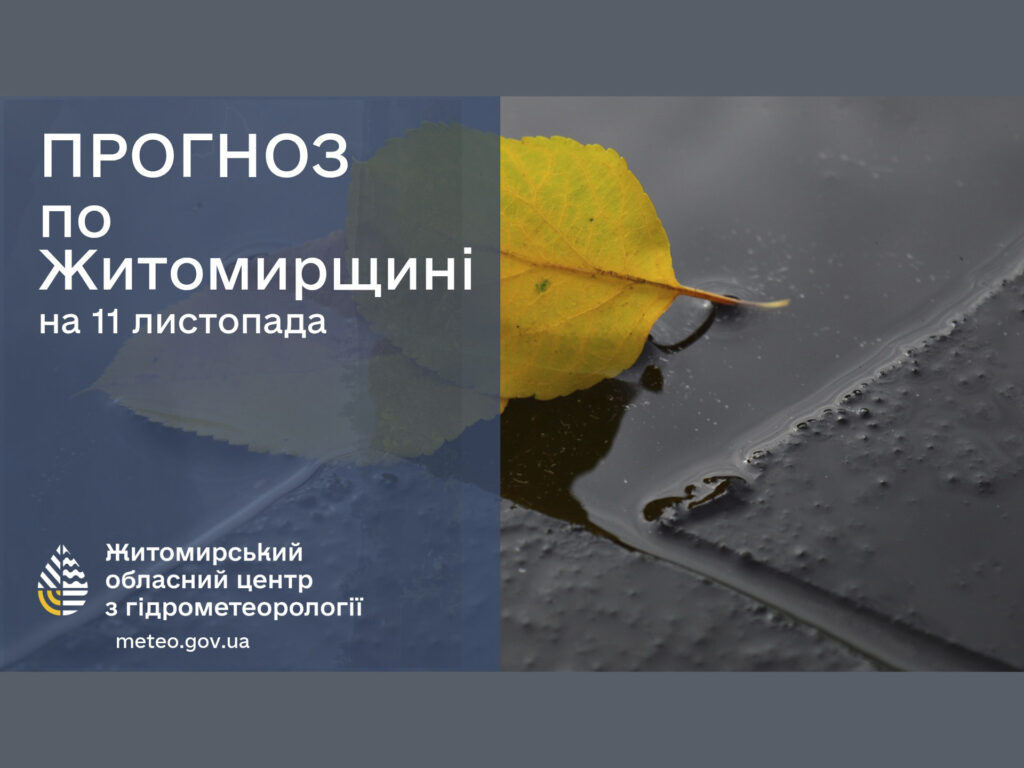 Прогноз погоди на добу 11 листопада