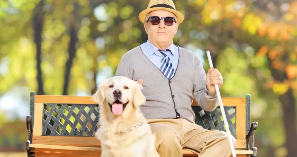 Сьогодні Міжнародний день сліпих