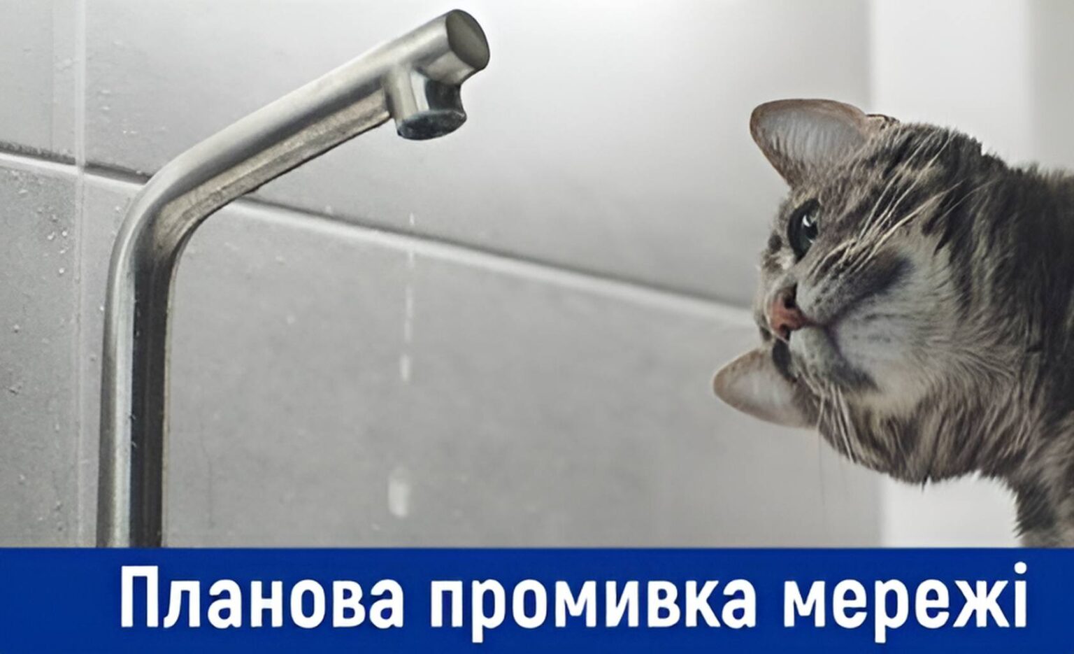 Увага, 5–6 листопада КП «Житомирводоканал» проводитиме планову дезінфекцію водопровідних мереж міста