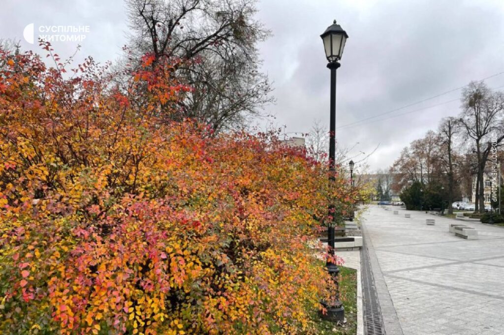 Прогноз погоди на день 24 листопада по Житомирській області