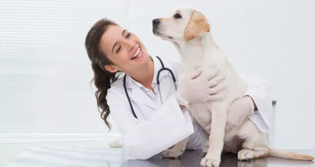 Сьогодні Міжнародний день ветеринарної медицини