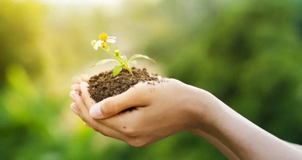 Сьогодні Всесвітній день запобігання забрудненню навколишнього середовища