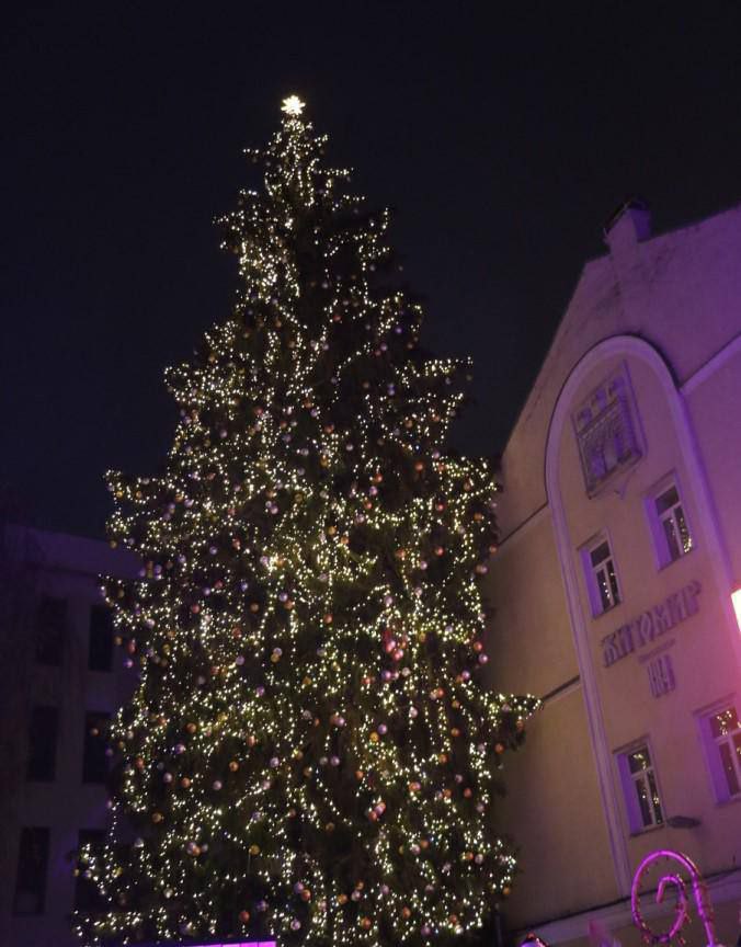 Не чекаємо Різдва: ялинку у Житомирі запалять уже в суботу