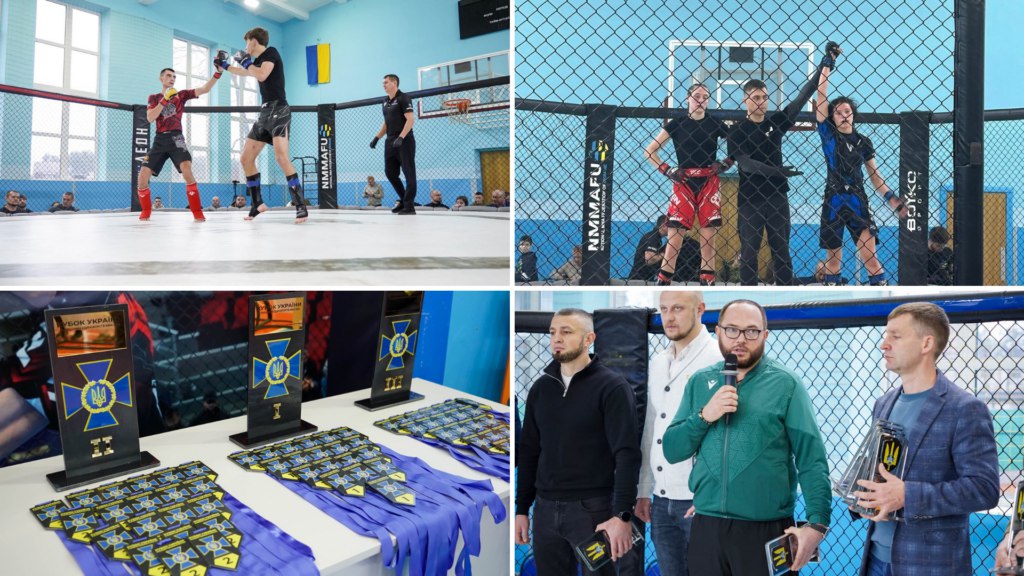 Кубок України зі змішаних єдиноборств ММА у Житомирі