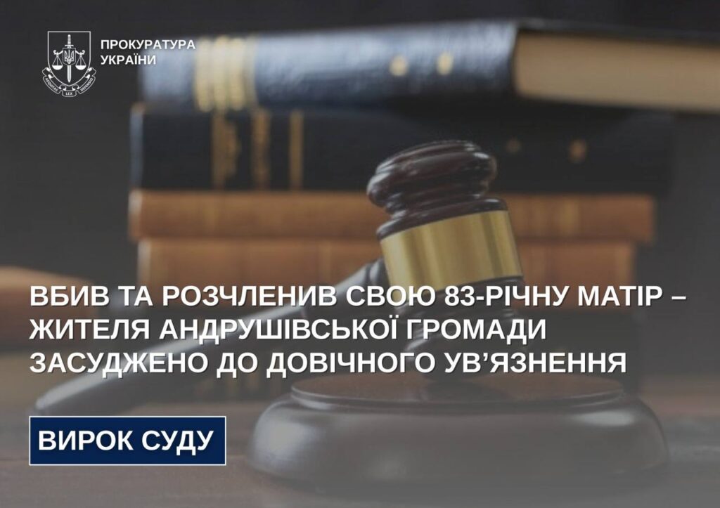 Вбив та розчленив свою 83-річну матір – жителя Андрушівської громади засуджено до довічного ув’язнення
