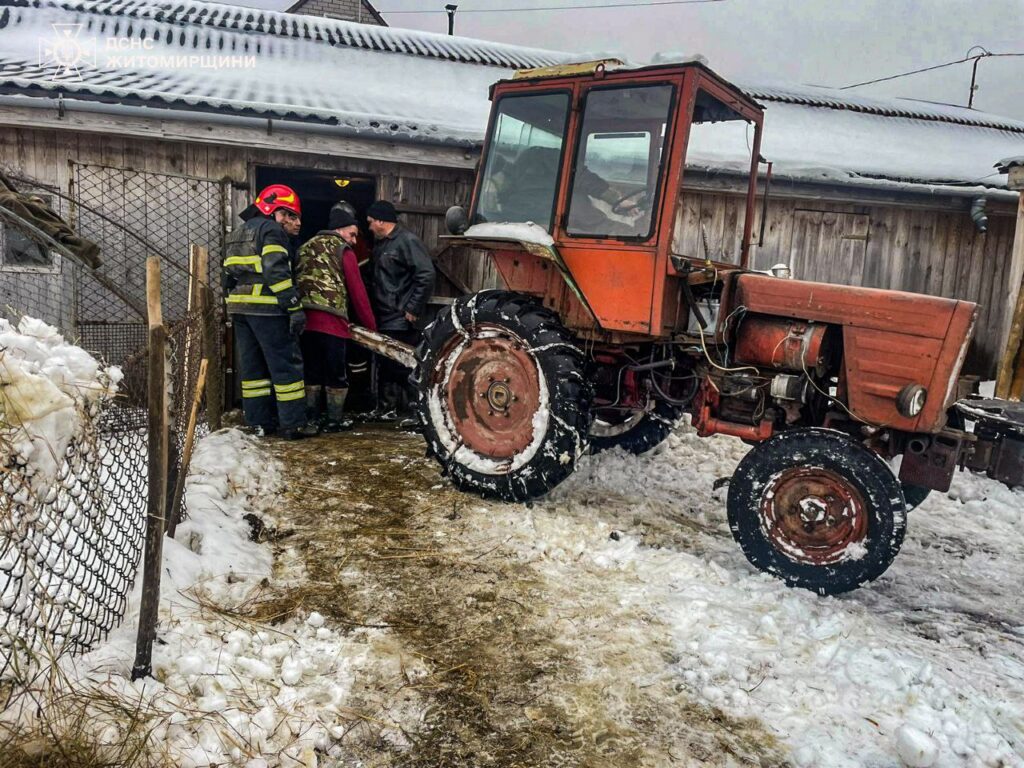 Житомирський район: рятувальники надали допомогу у вивільненні тварини