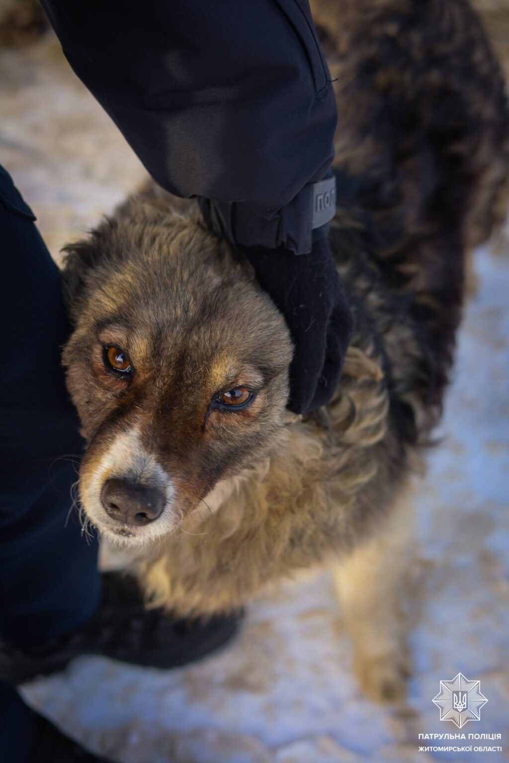 Турбота вимірюється вчинками