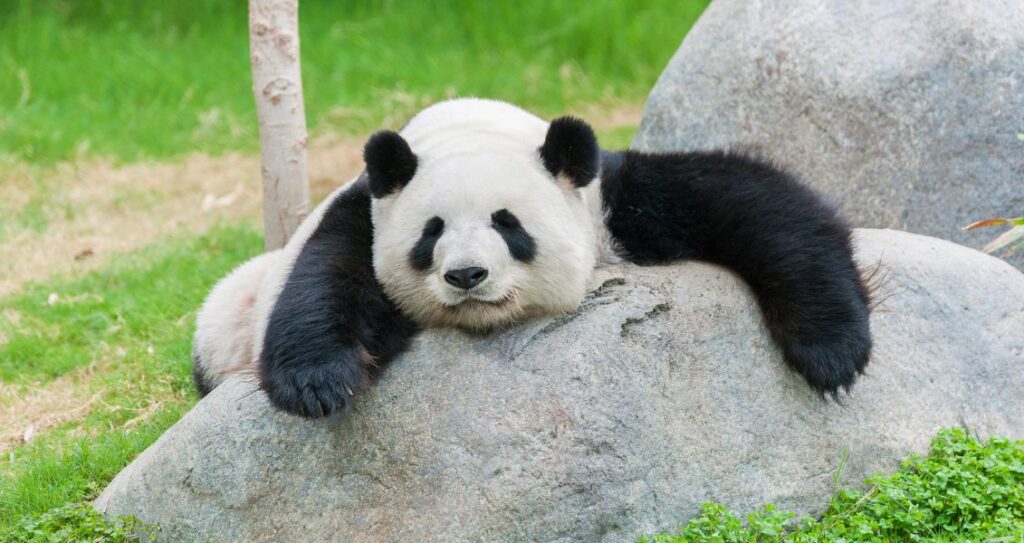 А що сьогодні – 16 березня, понеділок