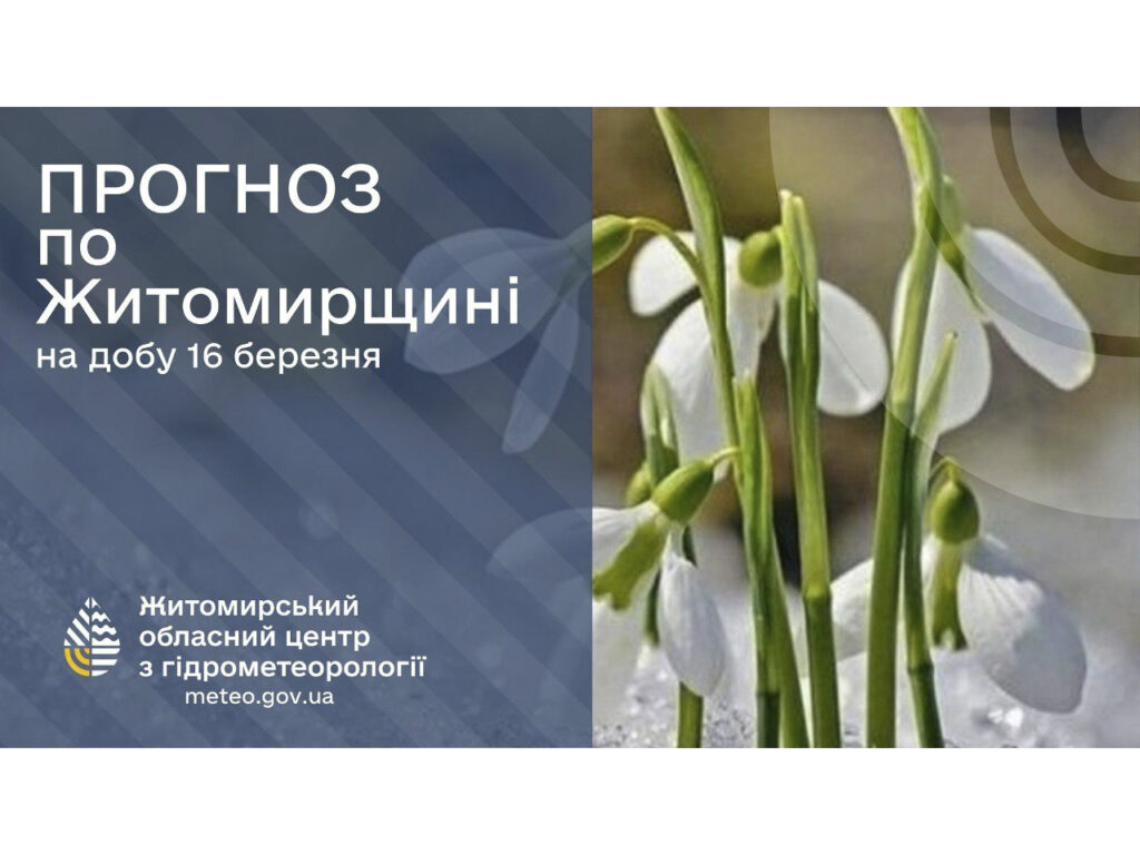 Прогноз погоди на день 16 березня по Житомирській області