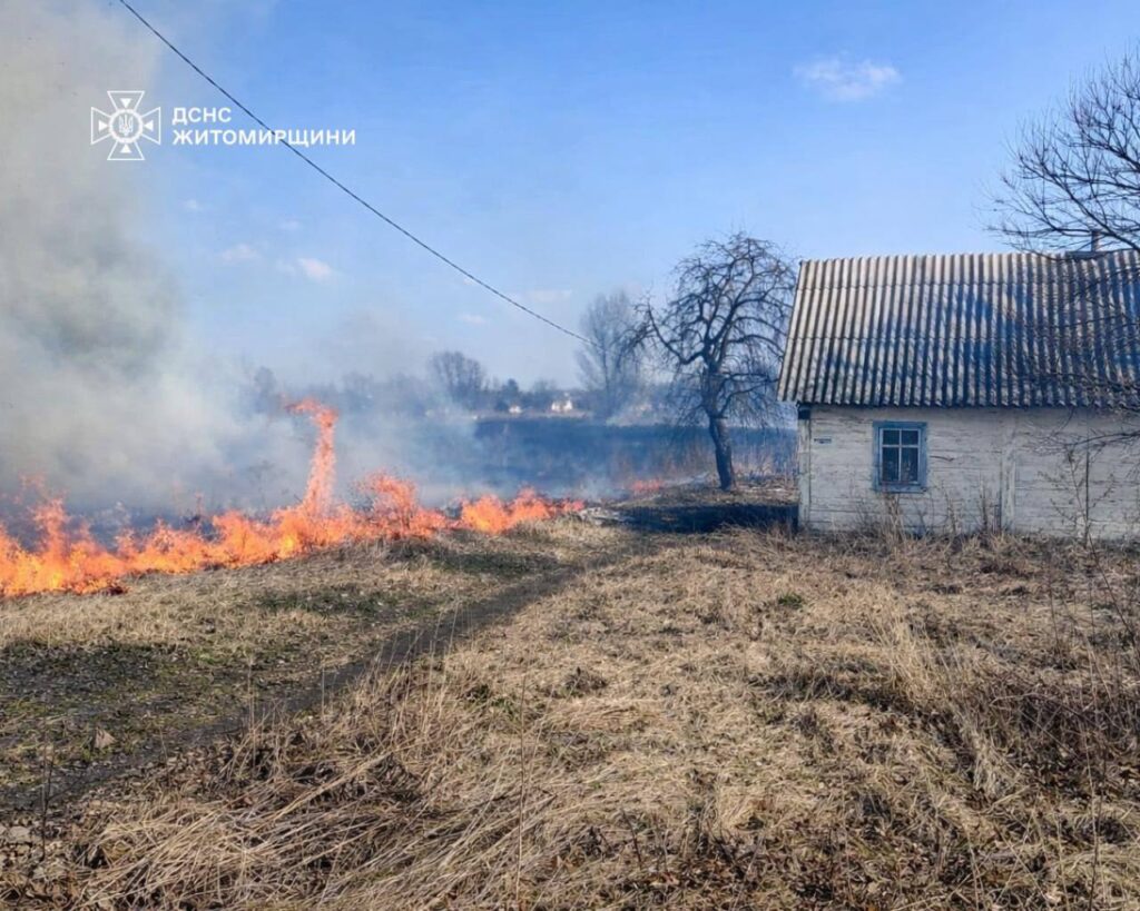 Під час пожежі сухої рослинності травмувався чоловік