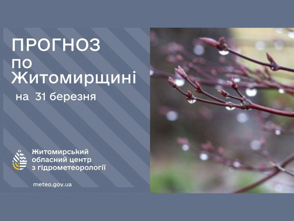 Прогноз погоди на день 31 березня по Житомирській області