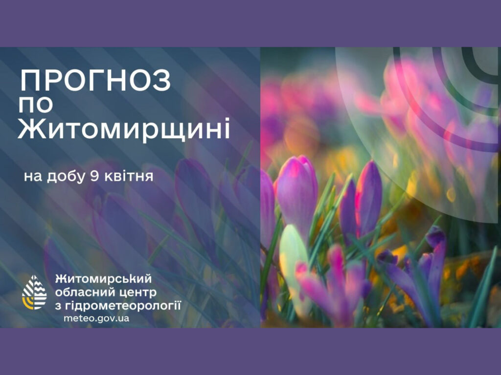 Прогноз погоди на день 9 квітня по Житомирській області