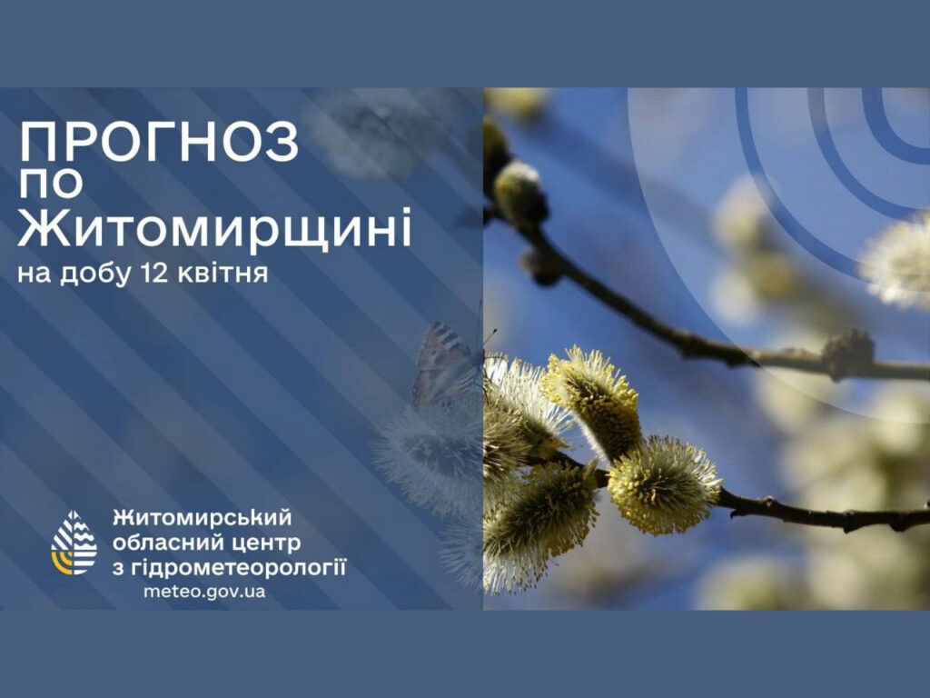 Вночі та вранці 13 і 14 квітня у Житомирській області сильні заморозки у повітрі 0..3°