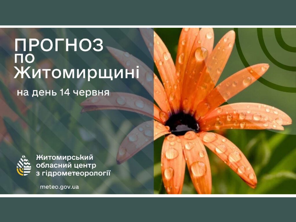 Погода сьогодні на Житомирщині