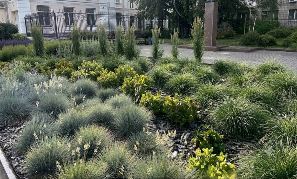 Місто поступово переходить на багаторічні рослини
