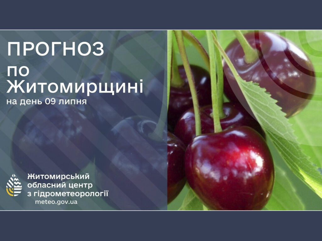Погода сьогодні на Житомирщині