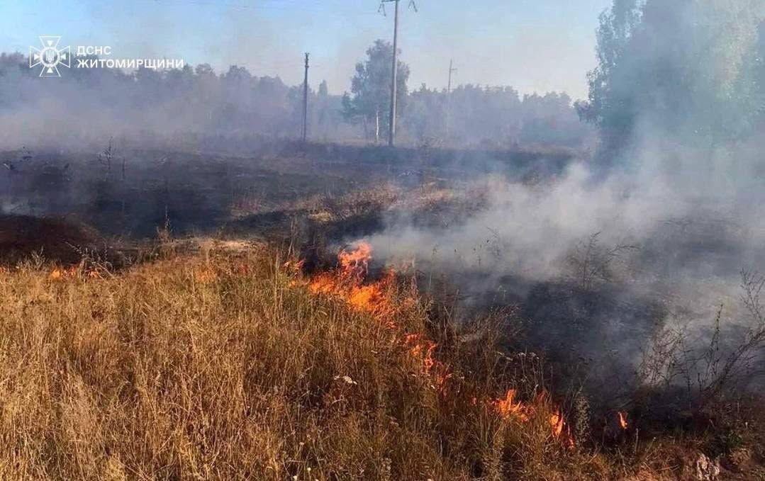 На Житомирщині під час гасіння сухої трави травмувалася жінка